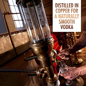 Absolut Elyx – Per Hand destillierter Luxus Wodka aus Schweden – Premiumwodka in edler Flasche – 1 x 0,7 L - 3