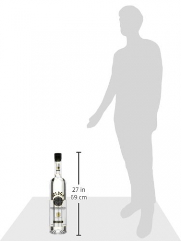 Beluga Noble Russian mit Geschenkverpackung Wodka (1 x 6 l) - 3