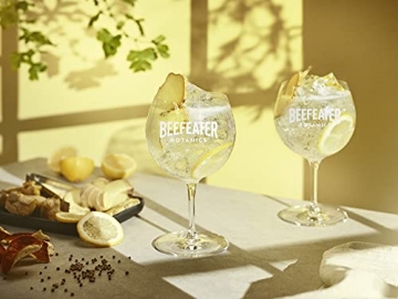 Gin Beefeater - 5