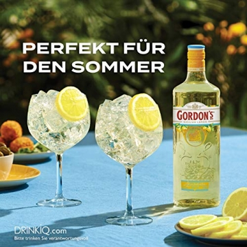 Gordon's Sicilian Lemon Gin (1 x 1 l) - 2