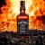 Jack Daniel's Master Distiller Series No. 4 mit Geschenkverpackung Whisky (1 x 0.7 l) - 4
