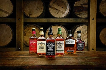 Jack Daniel's Old No.7 Tennessee Whiskey - 40% Vol. (1 x 1.0 l) / Durch Holzkohle gefiltert. Tropfen für Tropfen - 6