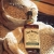 Jack Daniel's Tennessee Rye Whiskey, 45% Volume (1 x 0.7 l) - 4