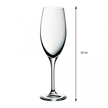 WMF Easy Plus Champagner-/ Sektgläser-Set 6-teilig, 250ml, Kristallglas, spülmaschinenfest, transparent - 4