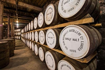 Bushmills Irish Whiskey American Oak BOURBON FINISH 40%, 1 x 0.7 l, Whisky - 7