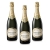Perrier Jouet Grand Brut Champagner (3 x 0,75 l) - 