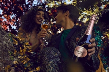 Perrier Jouet Perrier-Jouët Champagne Blason Rosé Brut 12%, Volume 0.75 l in Geschenkbox - 5