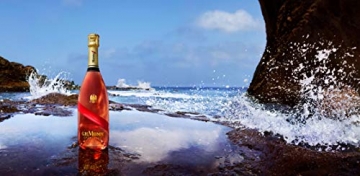G.H. Mumm Grand Cordon Rosé – Kräftiger und frischer Champagner aus dem Hause G.H. Mumm – 1 x 0,75 l - 10
