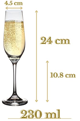 Elerise Vitina Sektgläser Set - 4 Champagnergläser 230 ml aus Kristalglas | Hochwertige Sektkelche von hoher Qualität - 8