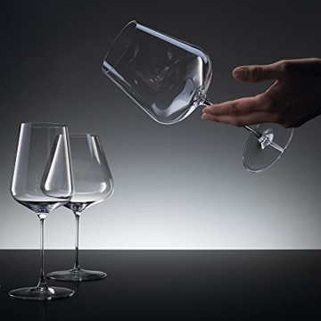 Spiegelau & Nachtmann, 2-teiliges Champagnerglas-Set, Kristallglas, 250 ml, Definition, 1350169 - 8