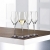 Spiegelau & Nachtmann, 4-teiliges Champagnerglas-Set, Kristallglas, 270 ml, Authentis, 4400185 - 4