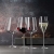 Spiegelau & Nachtmann, 6-teiliges Gläser-Set, Kristallglas, Definition - (6 Champagnergläser) - 3